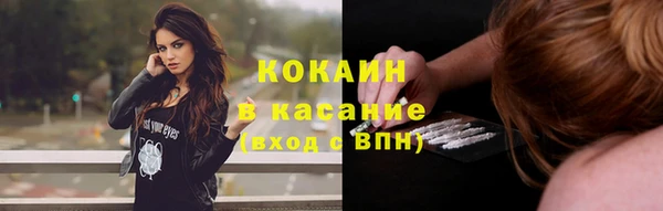стафф Алексин
