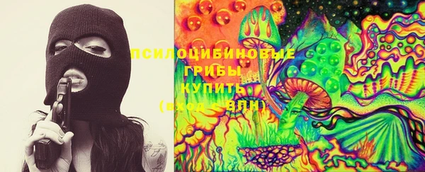 гидропоника Абаза